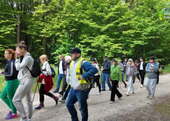 Ponad 11 kilometrów marszu. Dawcy krwi pokazali moc [WIDEO]