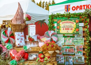Truskawkobranie w gminie Puławy. Konkurs na najpiękniejsze stoisko