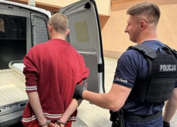 „Chciał poczuć się bogaty”. Pijany 35-latek ukradł Mitsubishi i próbował włamać się do piekarni