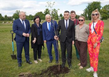 Sadzenie dębu na Błoniach