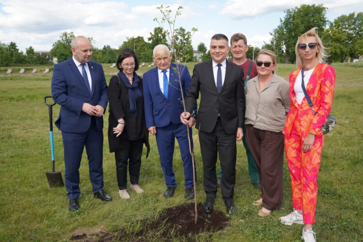 Sadzenie dębu na Błoniach