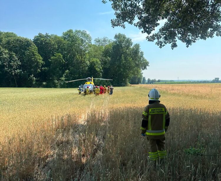 Wypadek nastolatka w Parku Czartoryskich [ZDJĘCIA]