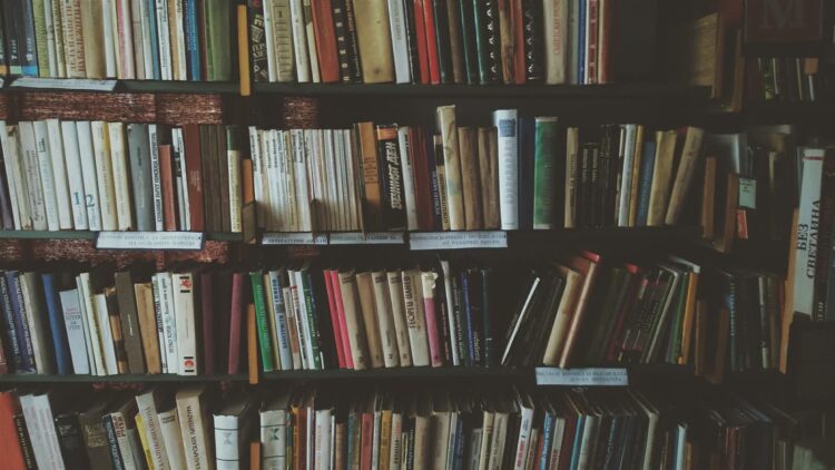 Wakacyjne przerwy w filiach Biblioteki Miejskiej w Puławach. Sprawdź, które placówki będą zamknięte