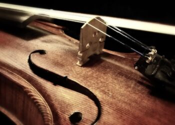 XI Międzynarodowy Kurs im. Tadeusza Wrońskiego. Koncert inauguracyjny w Pałacu Czartoryskich