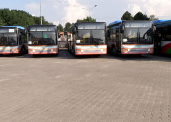 Będą darmowe autobusy na „Pożegnanie Lata”
