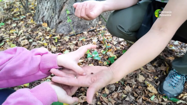 Puławianie dowiedzieli się, jak wspierać owady, Wycieczka ZDM [WIDEO]