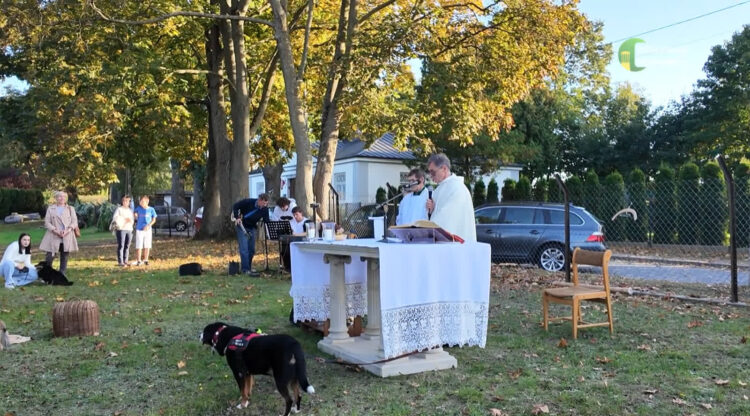 Ludzie i zwierzęta razem na specjalnej mszy. Już po raz czwarty w Puławach [WIDEO]