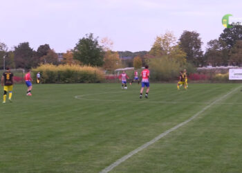 Efektowne zwycięstwo Perełek Puławy! GKS Niedźwiada pokonany 4:1