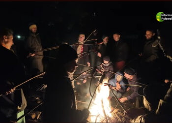Śladem nocnego życia w puławskim lesie. Finał Dzikiej Miejskiej Przyrody [WIDEO]